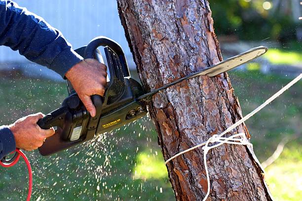 Mulching Services in Atherton, CA